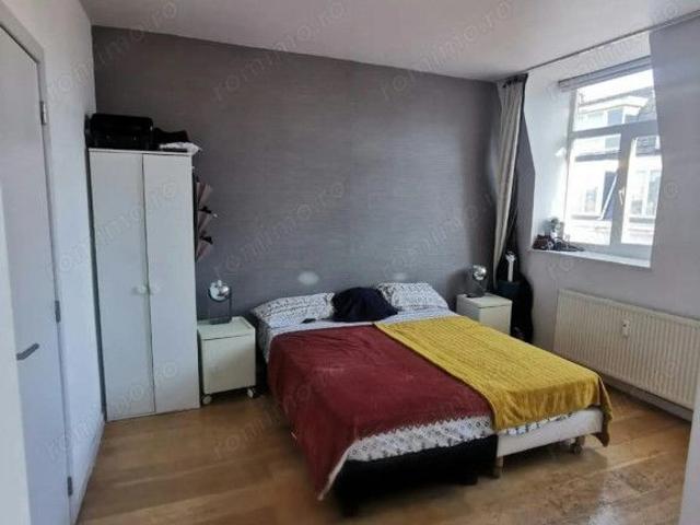 Garsonieră închirieri în Timisoara, Timiș