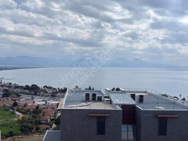 Kuşadasi, Aydin içerisinde satılık mülk