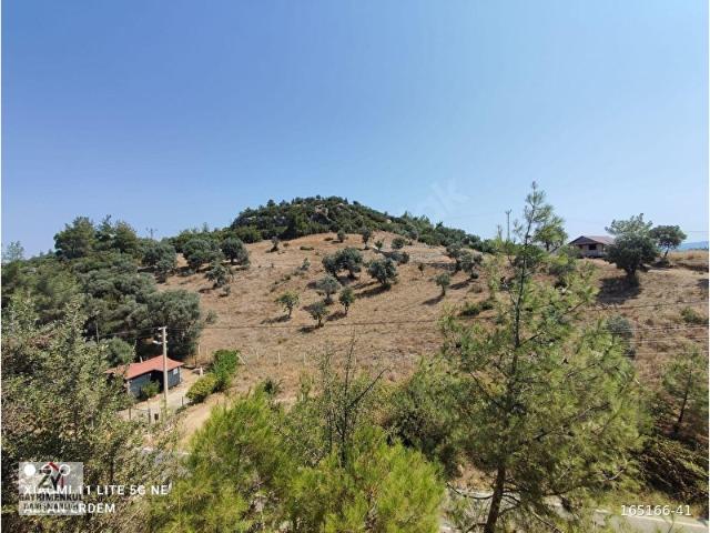 Menderes, İzmir içerisinde satılık Arsa