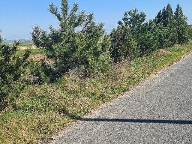 Silivri, İstanbul içerisinde satılık Arsa