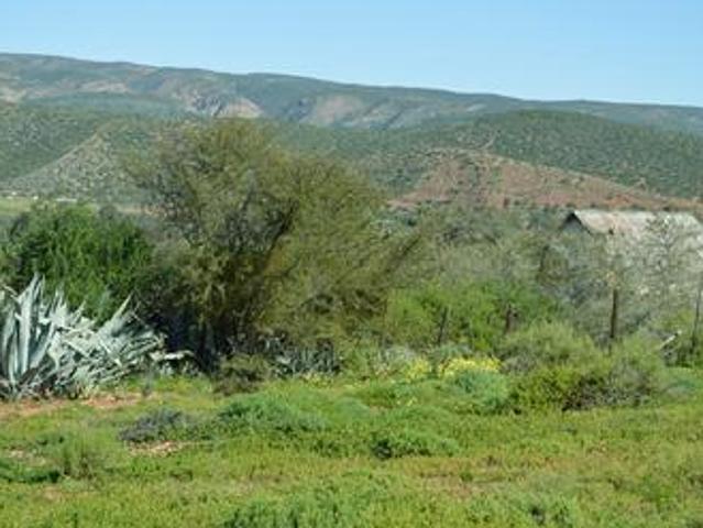 Commercial Land for sale in De Rust