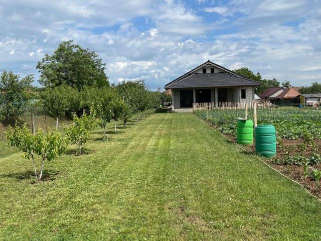 Casă vânzări