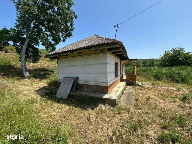 Casă vânzări în Roman