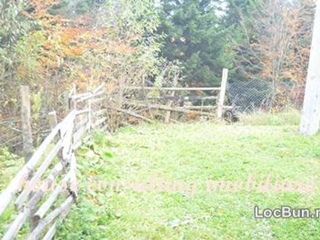 Teren vânzări în Busteni, Prahova