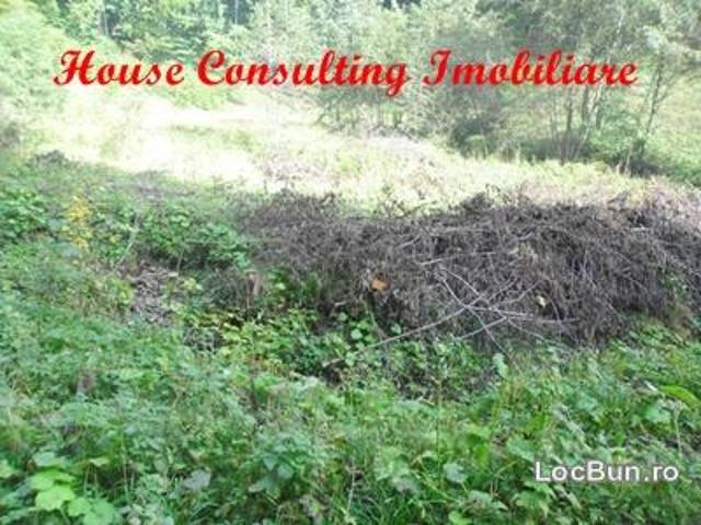 Teren vânzări în Predeal, Brașov