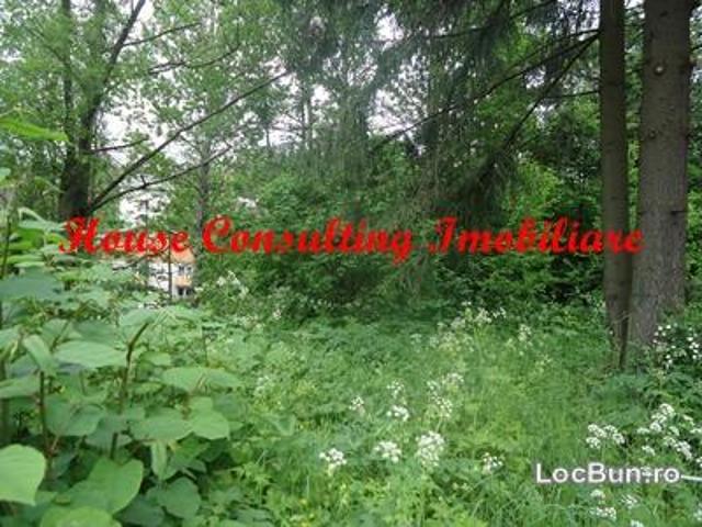 Teren vânzări în Predeal, Brașov