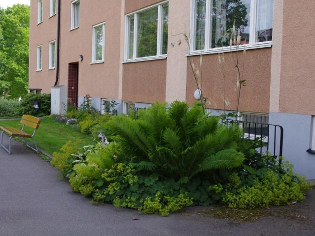 Lägenhet hyra i Finspång, Östergötland