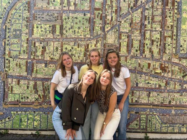 Kamer te huur in Wippolder, Delft