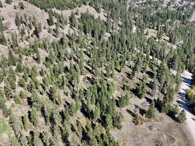 Land for sale in Kettle Falls, Stevens County