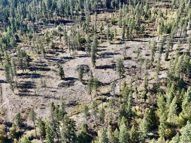 Land for sale in Kettle Falls, Stevens County