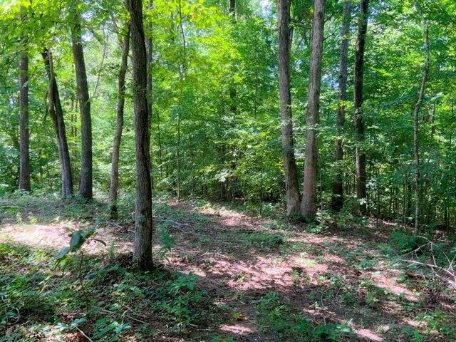 Land for sale in Tennessee