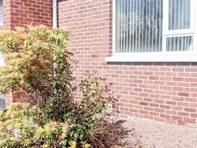 House to rent
