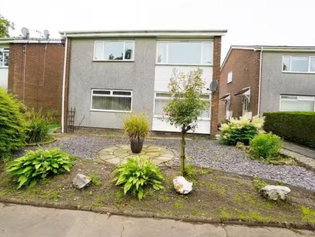 Apartment for rent