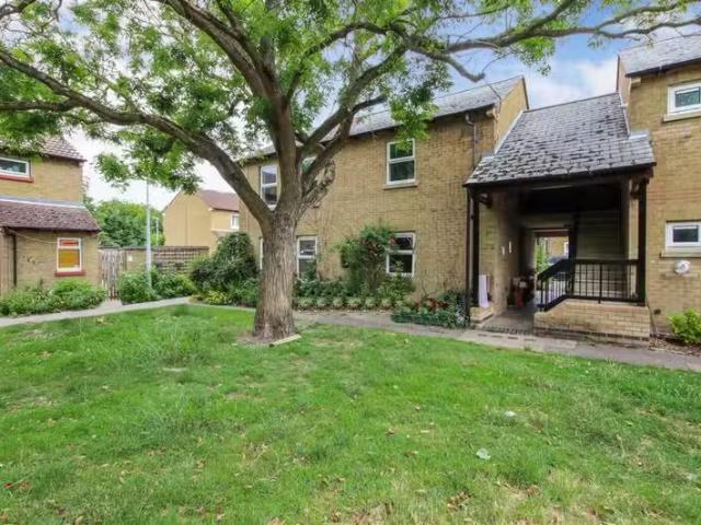 House for rent