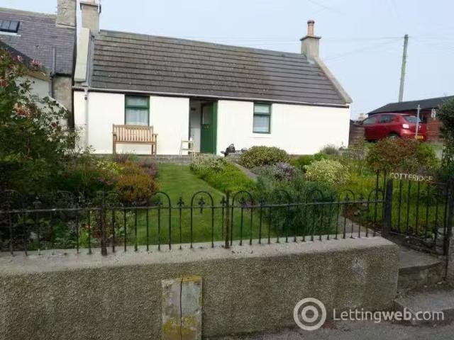 House for rent