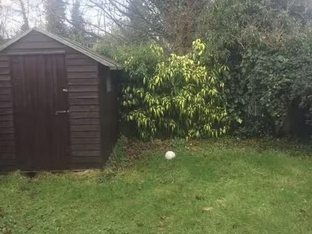 House to rent
