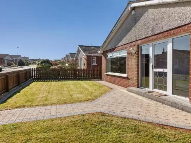 House to rent