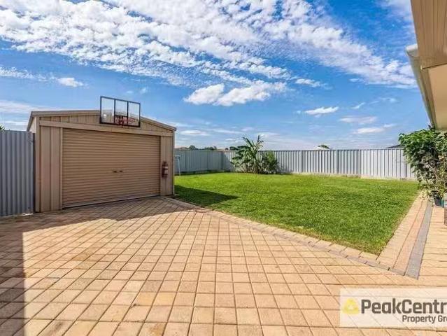 House for rent in Alexander Heights, Western Australia