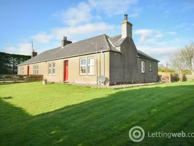 House for rent