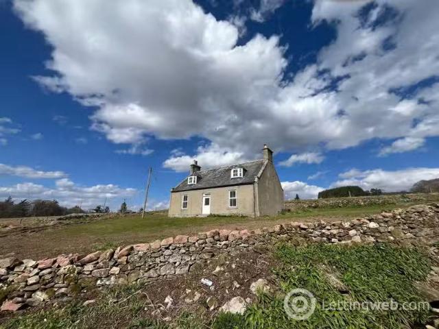House for rent