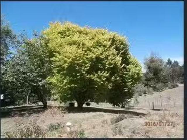 House for rent in Ashton, South Australia