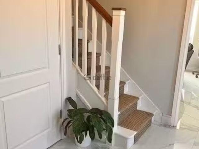 House to rent