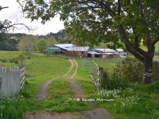 House for rent in Northland