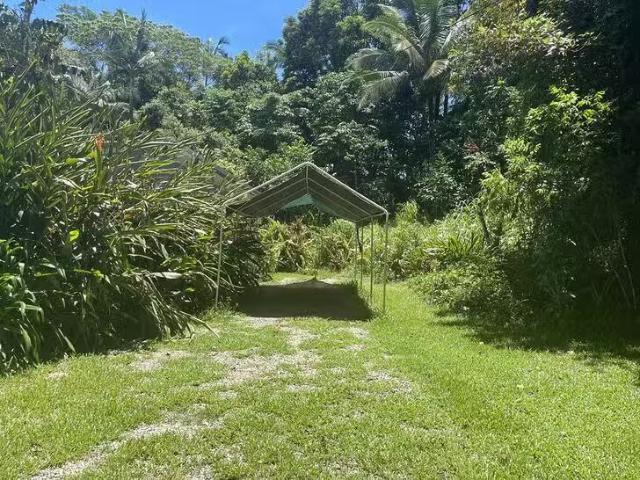 House for rent in Bingil Bay, Queensland