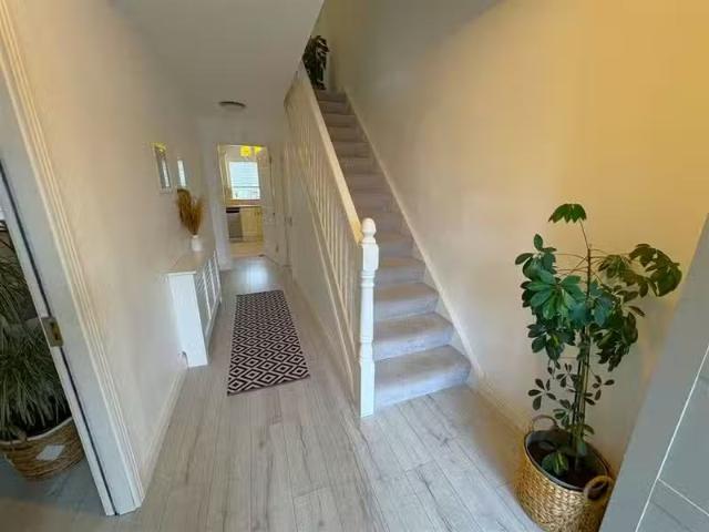 House to rent
