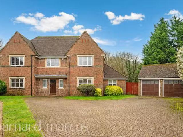 House for rent