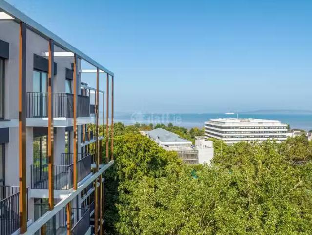 Apartment to rent