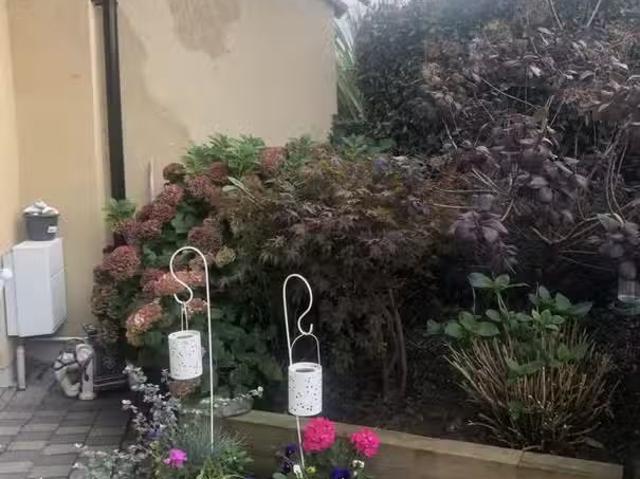 Apartment to rent