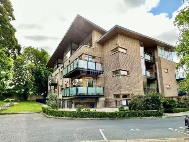 Apartment to rent