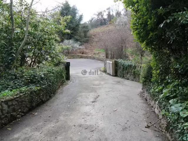 House to rent