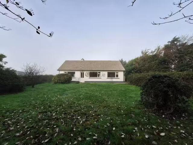 House to rent
