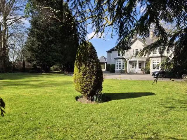 House to rent