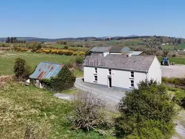 House to rent