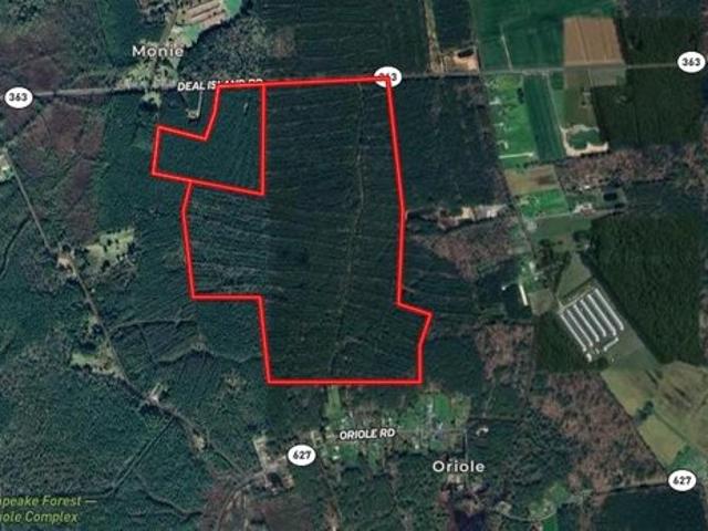Land for sale in Princess Anne, Maryland