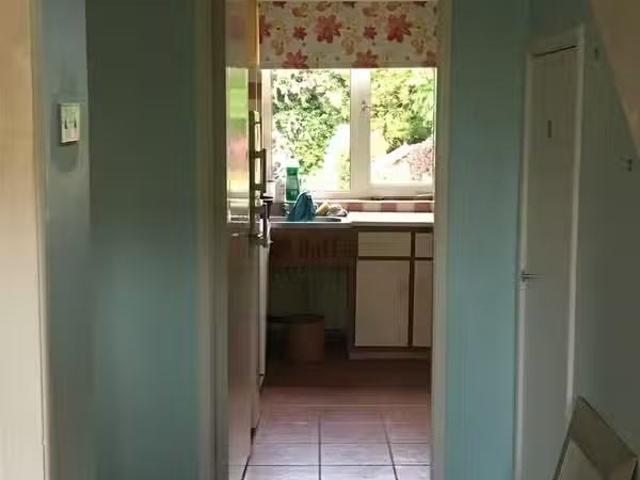 House to rent