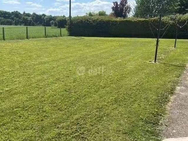 House to rent
