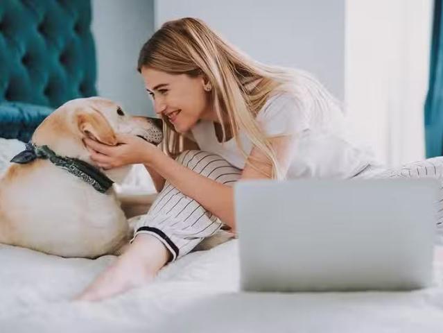 Condo for rent in Woburn, Ontario