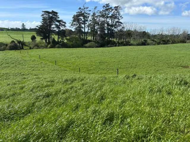 House for rent in Lepperton, Taranaki