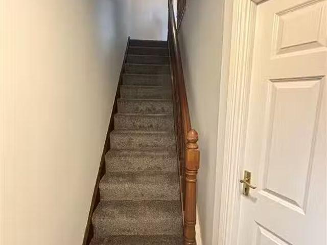 House to rent