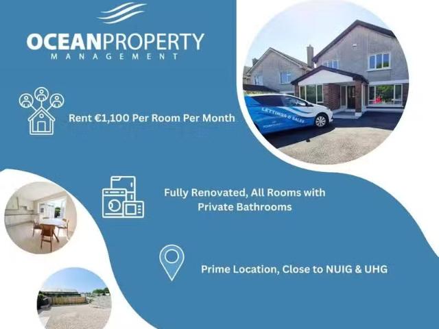House to rent