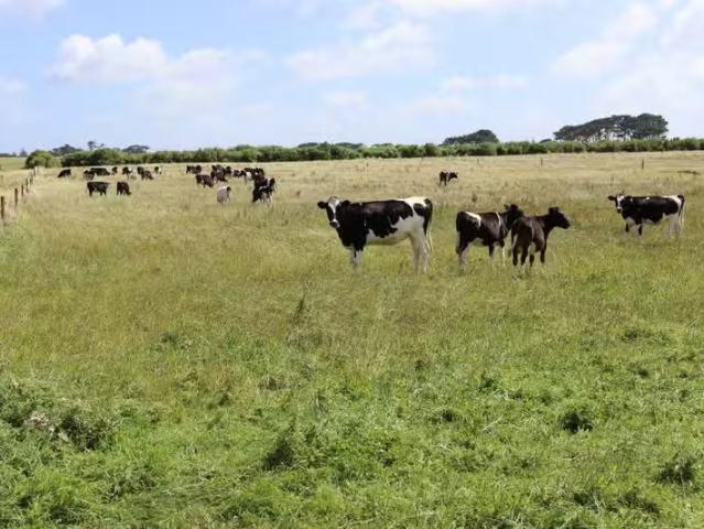 House for rent in Opunake, Taranaki