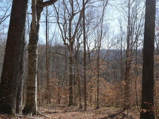 Land for sale in Virginia