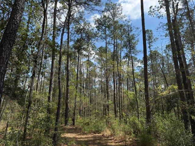 Land for sale in Leakesville, Mississippi