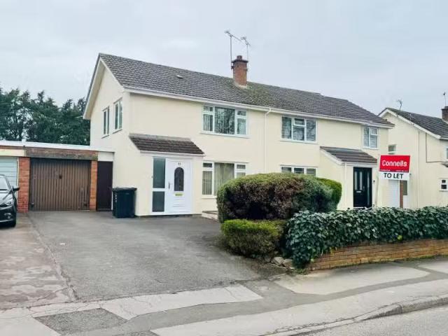 House for rent