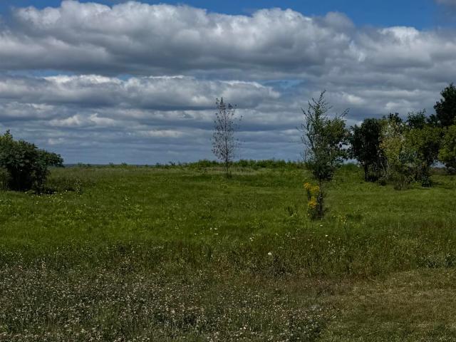 Land for sale in Town of Gardner, Door County