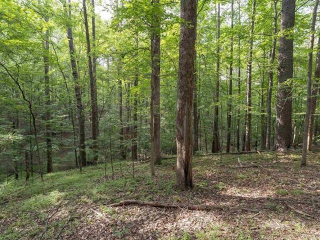 Land for sale in Charlottesville Land for sale in Charlottesville